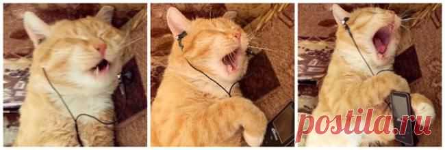 Отличный припев!!!