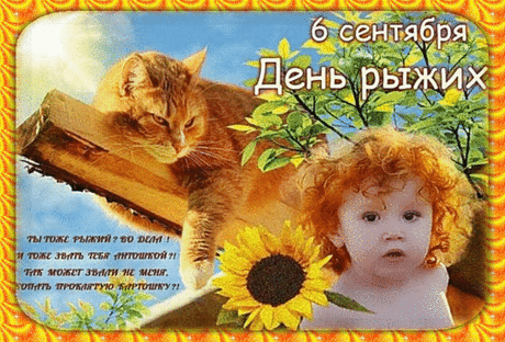 С днем рыжих поздравляю,
С огоньком на голове расцветать желаю.
Комплиментами тебя, чтобы вдохновляли,
Любопытными взглядами насыщали.