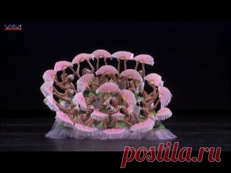 YAGP 2014 Ensembles"Jasmine"1st place in Regional, Top12 in NY final