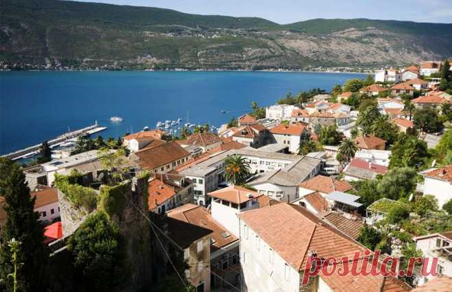 Kotor