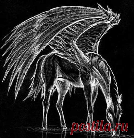 Пегас рисунок карандашом: Рисунки карандашом лошадь с крыльями (23 фото) 🔥 Прикольные картинки и юмор — Артист-Ойл