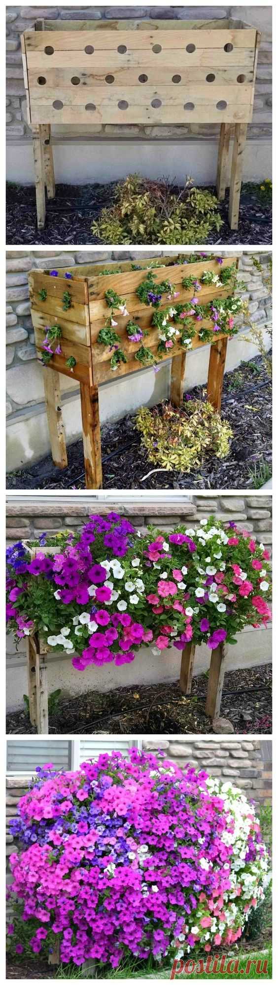 (26) Pinterest