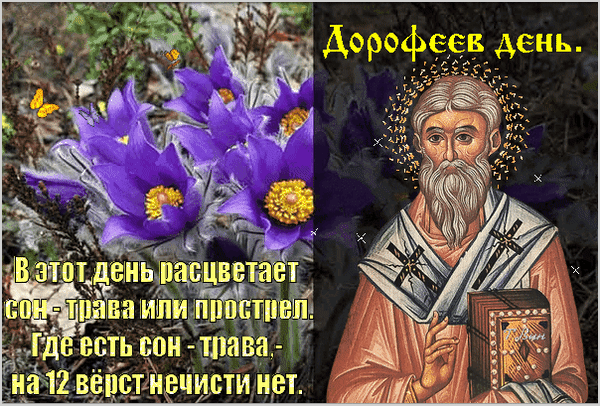 С праздником! В Дорофеев день начинаются самые короткие летние ночи. Пусть вместе с ними растают все твои тревоги и печали. Открытки на Дорофеев день!