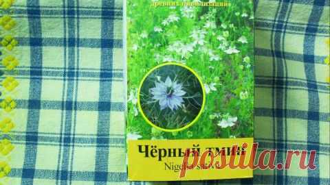 Чёрный тмин — «лекарство от всех болезней, кроме смерти» | Я ЗДОРОВ!