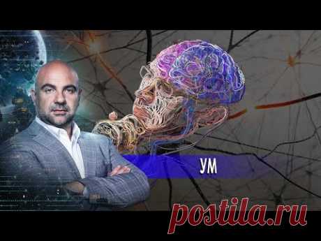 Ум. «Как устроен мир" с Тимофеем Баженовым (12.11.20).