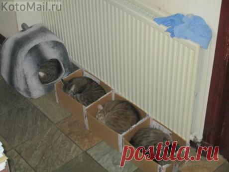 С любовью к нам