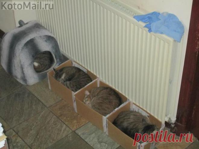 С любовью к нам