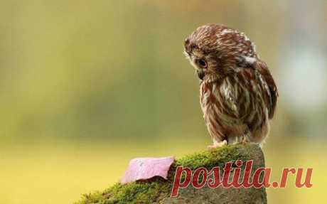 Ни одно слово, летящее в твой адрес, не должно менять твоё мнение о себе. / Понимание бизнеса