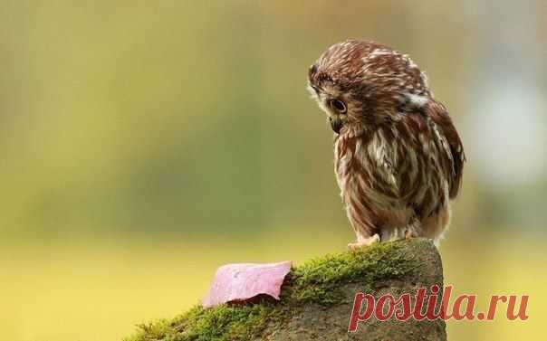 Ни одно слово, летящее в твой адрес, не должно менять твоё мнение о себе. / Понимание бизнеса