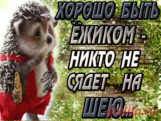 #СтатусыЦитатыАфоризмы