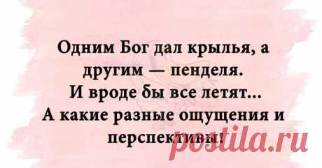 Смелые анекдоты со взрослым юмором