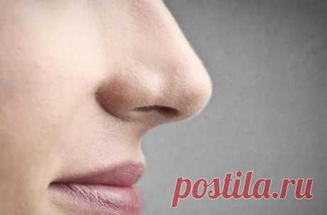 Как восстановить слизистую носа?