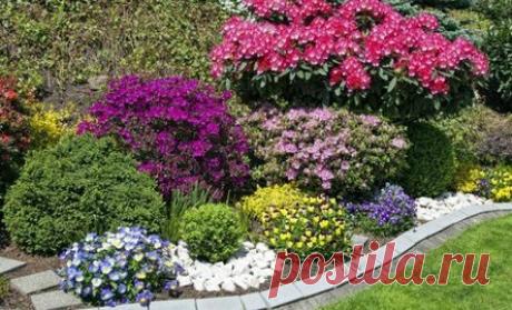 Клумбы непрерывного цветения – схемы с описанием цветов