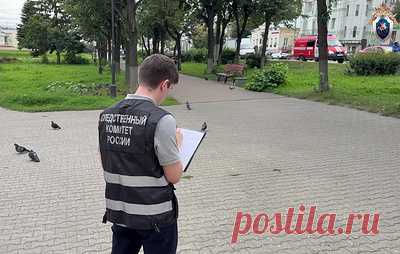 В Ивановской области на женщину завели дело о покушении на убийство малолетнего. Подозреваемая шла по площади города с двухлетней дочерью на руках, а затем несколько раз с силой ударила ребенка головой об асфальт