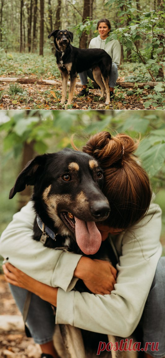 Любознательный пес Бадди ищет дом! Москва – "ЗВЕЗДЫ В ЗАЩИТУ ЖИВОТНЫХ", пользователь Ольга PPR | Группы Мой Мир