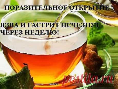Коллекция Рецептов