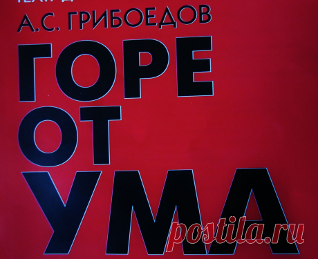 Помощь молодым собаководам.
