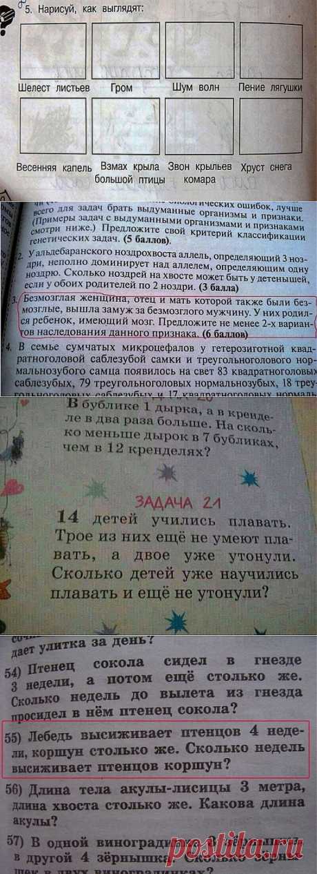 Идиотские учебники
