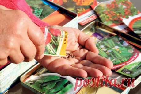 Как выбрать семена и не запутаться в их многообразии — Домашние заботы