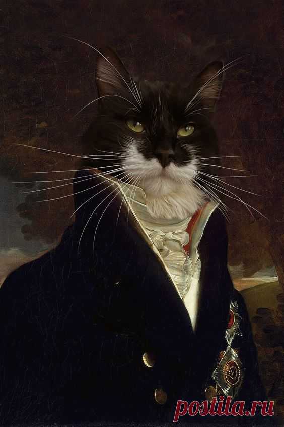 Sir Greven Skräddarsydd
