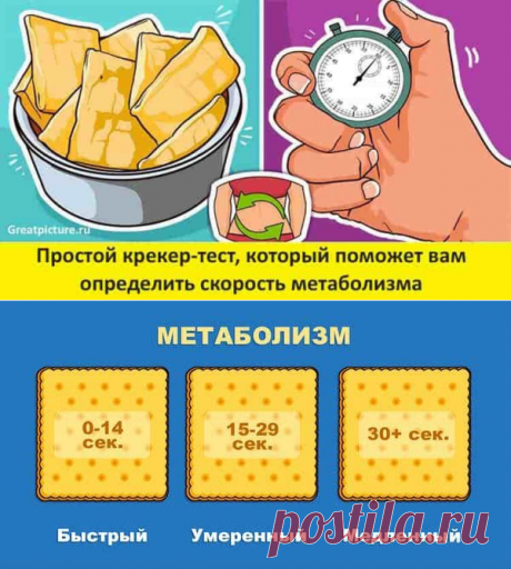 Простой крекер-тест, который поможет вам определить скорость метаболизма