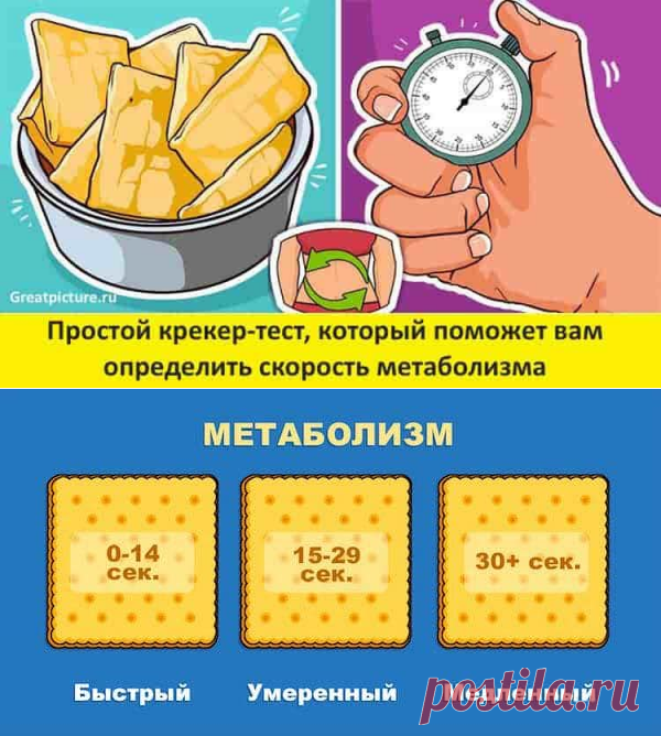 Простой крекер-тест, который поможет вам определить скорость метаболизма