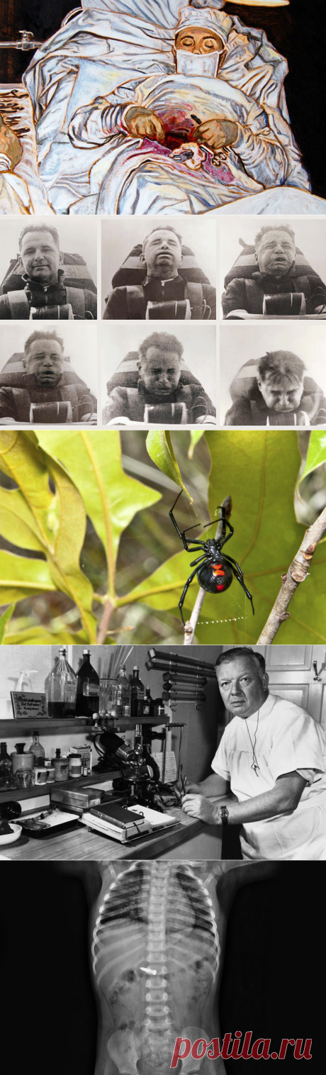 Опытным путем / Моя Планета