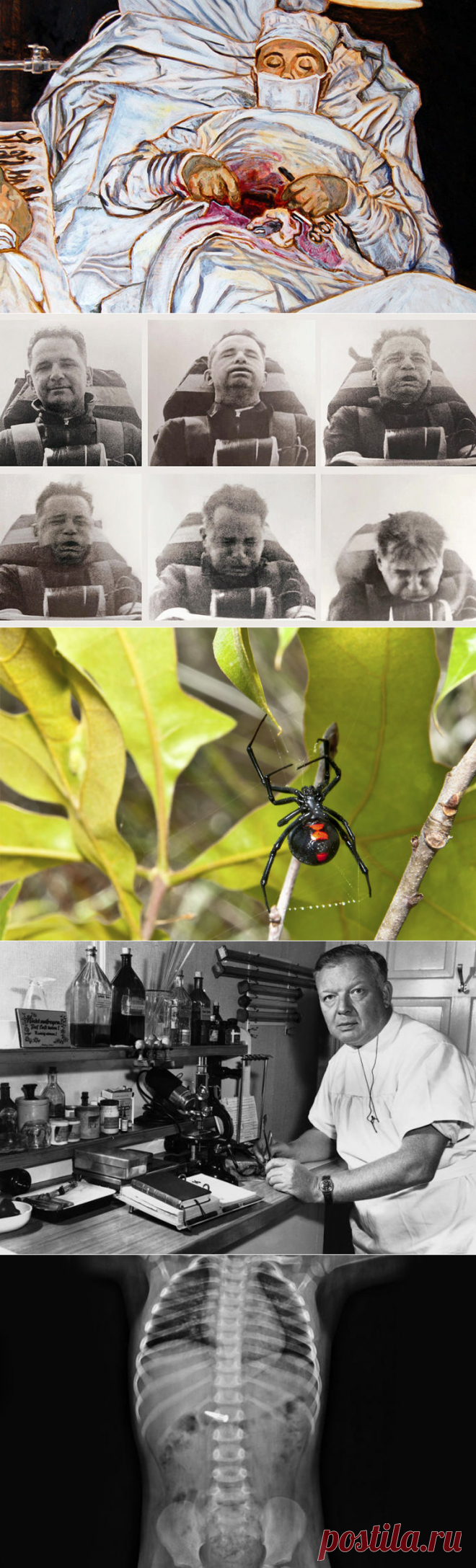 Опытным путем / Моя Планета