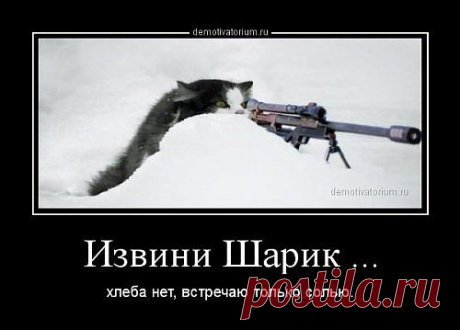 Снайпер ? Или киллер ?