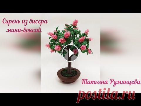 Дерево из бисера для начинающих. Сирень. Бонсай. Мастер-класс для начинающих. Высота дерева 34 см. вместе с подставкой. Материал: бисер розового и зеленого оттенков; проволока 0,4 мм.; проволока 1,5 ...
