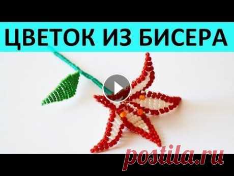 ЦВЕТОК ИЗ БИСЕРА СВОИМИ РУКАМИ МАСТЕР КЛАСС И СХЕМА Пошаговый видео мастер класс и схема по плетению цветка из бисера своими руками. Этот мастер класс будет полезен для начинающих в бисероплетении или р...
