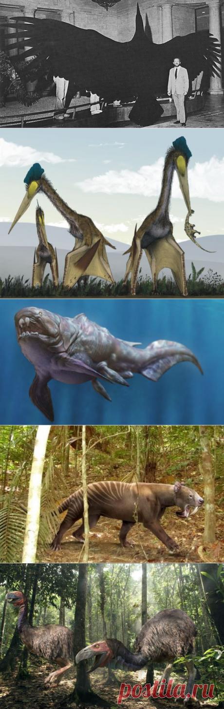 10 животных, которые вымерли — к счастью для человека