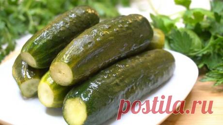 Уйдут в один миг! Хрустящие малосольные огурцы Автор рецепта kalnina - Cookpad