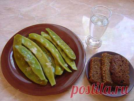 Острая закуска из зеленой фасоли (лоби) по-армянски : Закуски и бутерброды