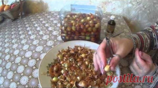 СУПЕР СРЕДСТВО ОТ ЛУКОВОЙ МУХИ!!!