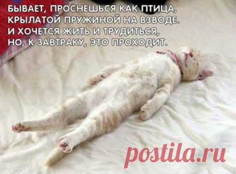 Школа раннего развития
