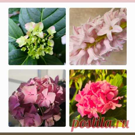 Публикация @collageaest в Now Блажен тот пловец житейского моря, который часто устремляет взоры к небу... Взоры, для которых доступно небо, вера. Верой мы усматриваем духовное...