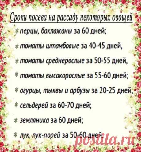 ДАЧНИКАМ НА ЗАМЕТКУ     
Сохрани шпаргалку, поделись с одноклассниками!