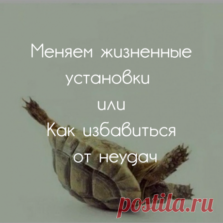 Как избавиться от негативных жизненных установок Негативные установки — это набор убеждений, принципов, формирующих наше мировосприятие.
Они закладываются, как правило, в детстве, и в дальнейшем имеют огромное влияние на нашу жизнь. Чаще всего, эти …