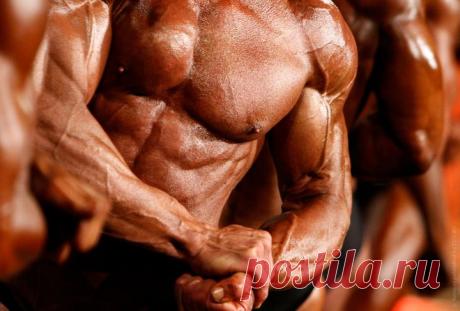 Тестостерон у мужчин: на что влияет и почему уровень бывает повышенный