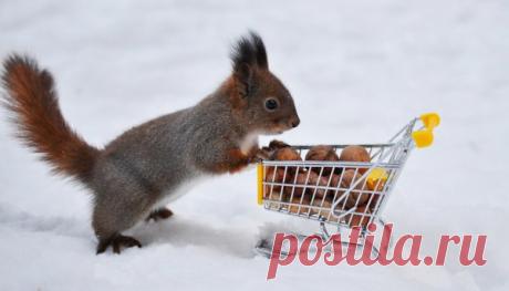 Талисман от лишних трат | Записки ведуньи | Яндекс Дзен