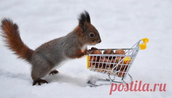 Талисман от лишних трат | Записки ведуньи | Яндекс Дзен