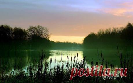 Ты просыпаешься, и будь этим доволен.

Чак Паланик