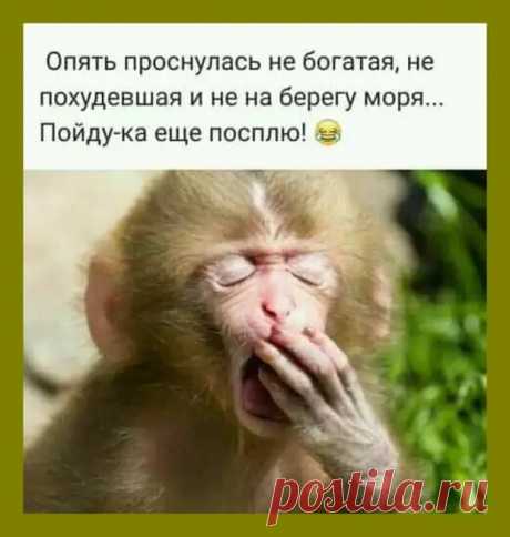 У нас, у девушек всё просто, если парень хороший - значит, будет другом. Если козёл, то это любовь всей жизни - РЖАКА - медиаплатформа МирТесен