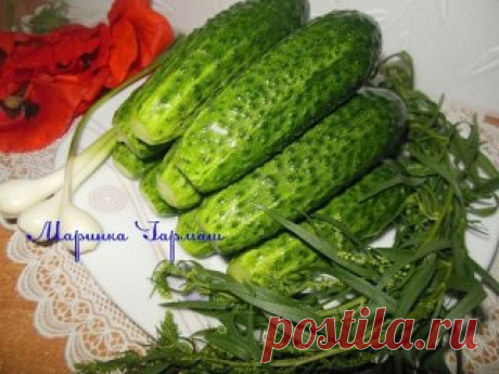 (50) Одноклассники