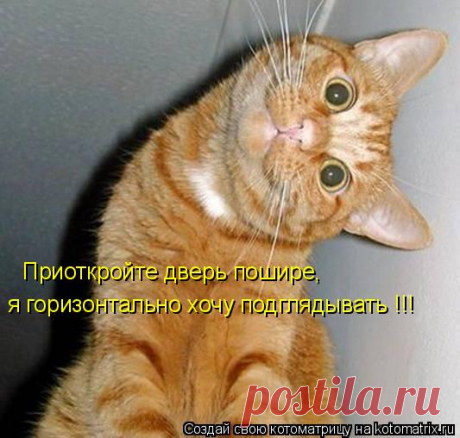 Котоматрица: Случайные котоматрицы