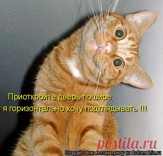 Котоматрица: Случайные котоматрицы