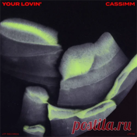 CASSIMM - Your Lovin' | 4DJsonline.com