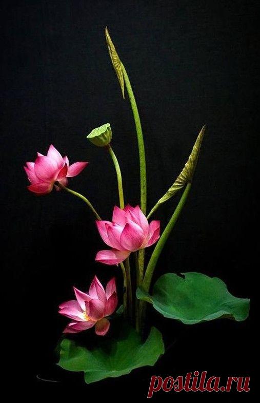 Пин содержит это изображение: