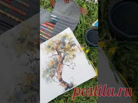 Tree watercolor Pleinair sketching #art